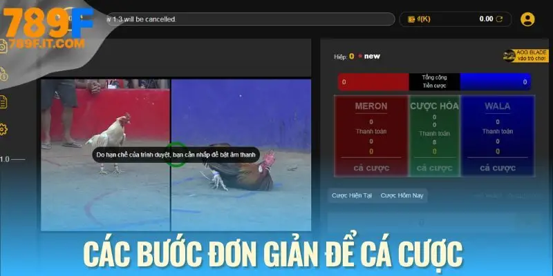 4 bước đặt cược an toàn tại sảnh đá gà cựa dao cho tân binh